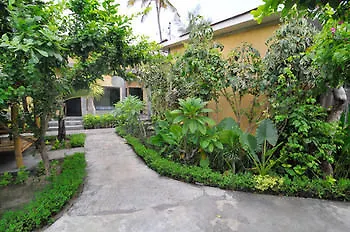 Bidadari Bali